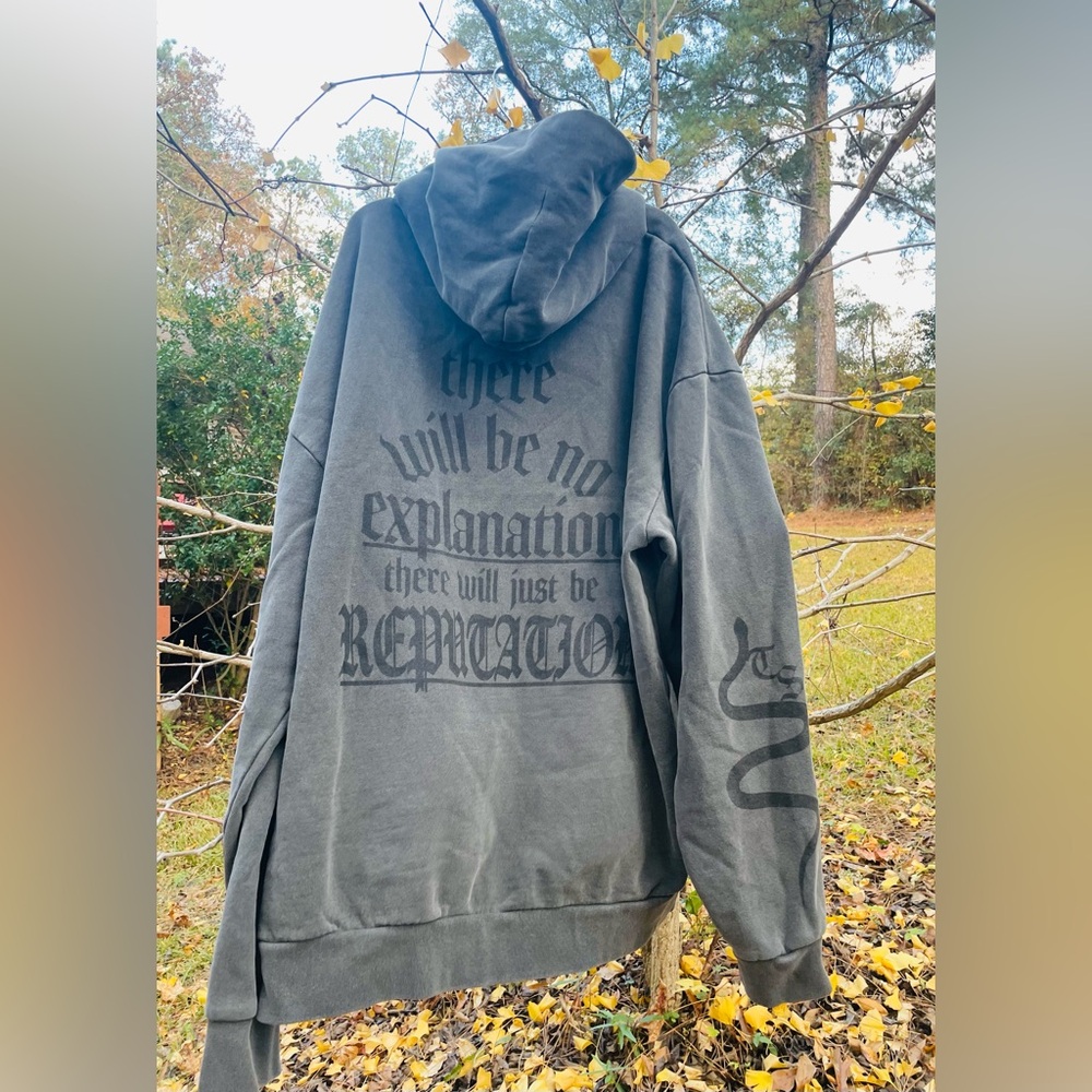 Taylor Swift Reputation snake gray 2X hoodie